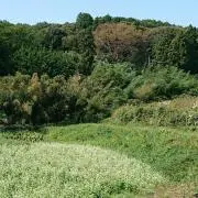 お山