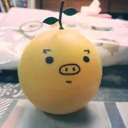 ぽんの画像