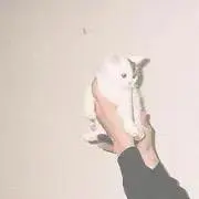 キル