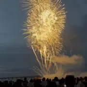 隼の画像
