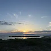 ぶーの画像