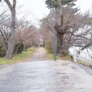 さだの画像