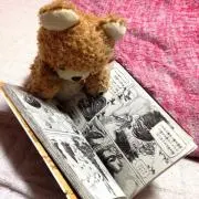 ✾ミントさん✾の画像