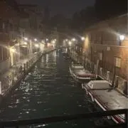 Ariの画像