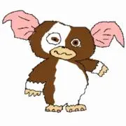 YKW✩.*˚