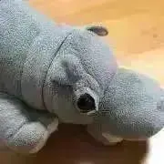 ひぽひぽの画像