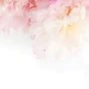 lumie’re♡の画像
