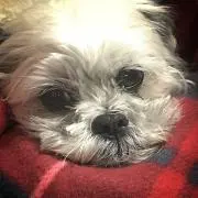 ゆうちゃん