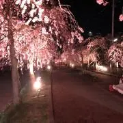 ミズゴロウの画像