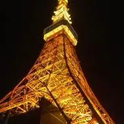 スパイシー⭐️の画像