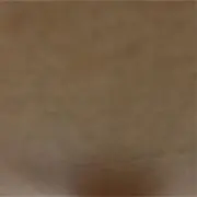 S（プロフ読んでください)