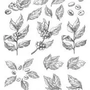 プロフ必読 oliveの画像