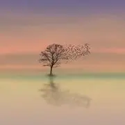 きとり