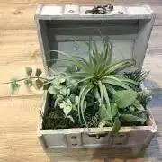 さらのすけ