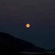 유쟈の画像