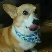 のりこの画像