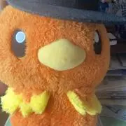 ばんび☺︎の画像