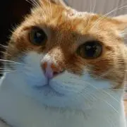 ひろぶんくん