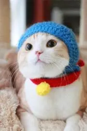 パディントン