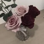 ぽりん