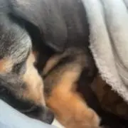 くっち