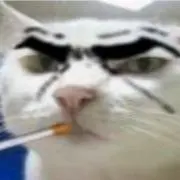 にゃーまん