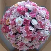 Pink sugar(プロフ必読)の画像