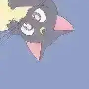 k.の画像