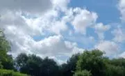 エルコレの画像