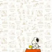 yukoの画像