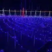 ふぅゆぅの画像