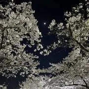 ちなの画像