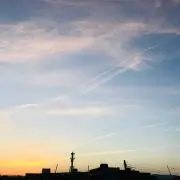 ソラの画像