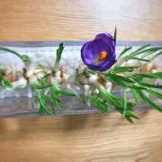 もふもふブランの画像