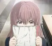 ぴの画像