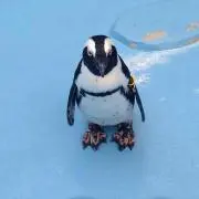 並平