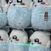 リリーの画像