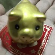 こやさん