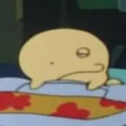 おーちゃんの画像