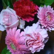 けいたん。の画像