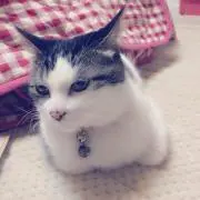 メー