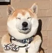 Kanziiの画像
