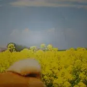ユキ