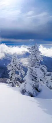 雪山の画像