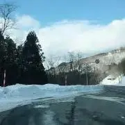 パーマの毛虫の画像