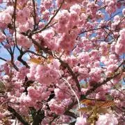 ゆっぴ*プロフ必読*☆