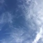 たなべ