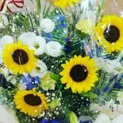 KRMRの画像