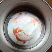 ゆうご