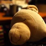 メイちゃん！の画像